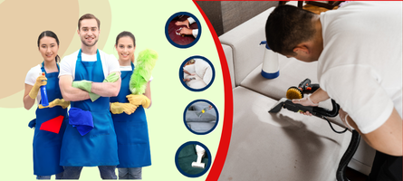 Couch Cleaning Mosman
